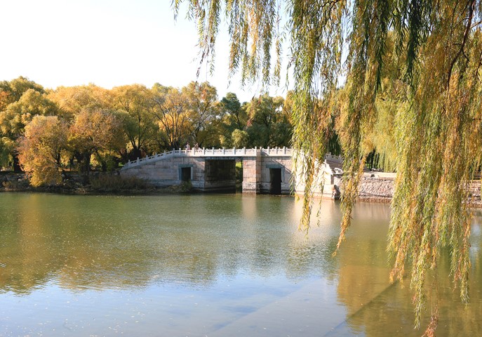 77.jpg