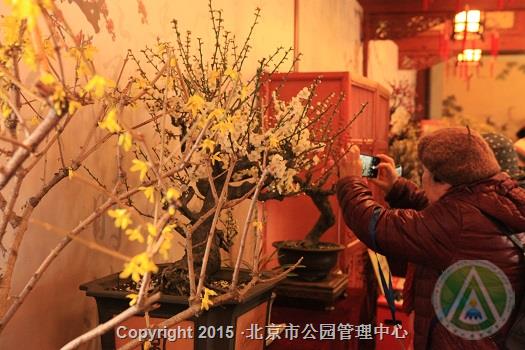 http://www.bjmacp.gov.cn/userimg/userfiles/image/2019212.42.55.229_108339.jpg
