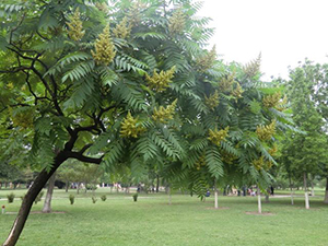102.jpg